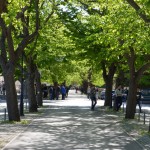 Places Nearby blato zlinje corso 150x150 - Places Nearby