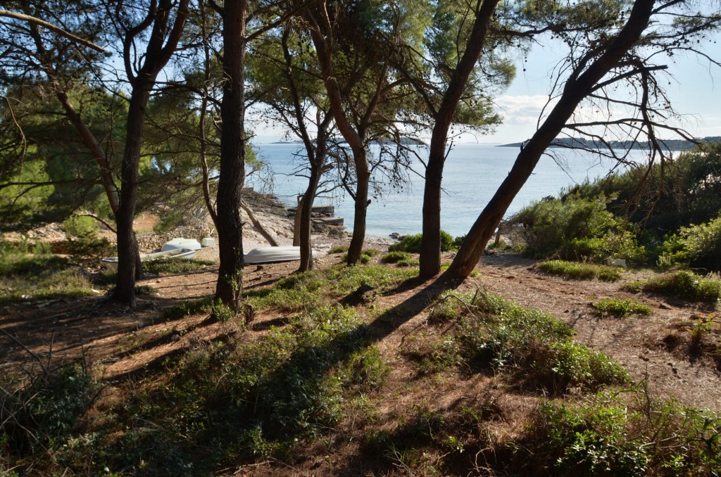 korcula camp potirna beach 03 1024x678 - Photo Gallery
