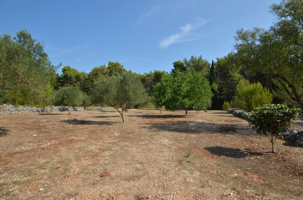 korcula camp potirna 05 1024x678 - Photo Gallery